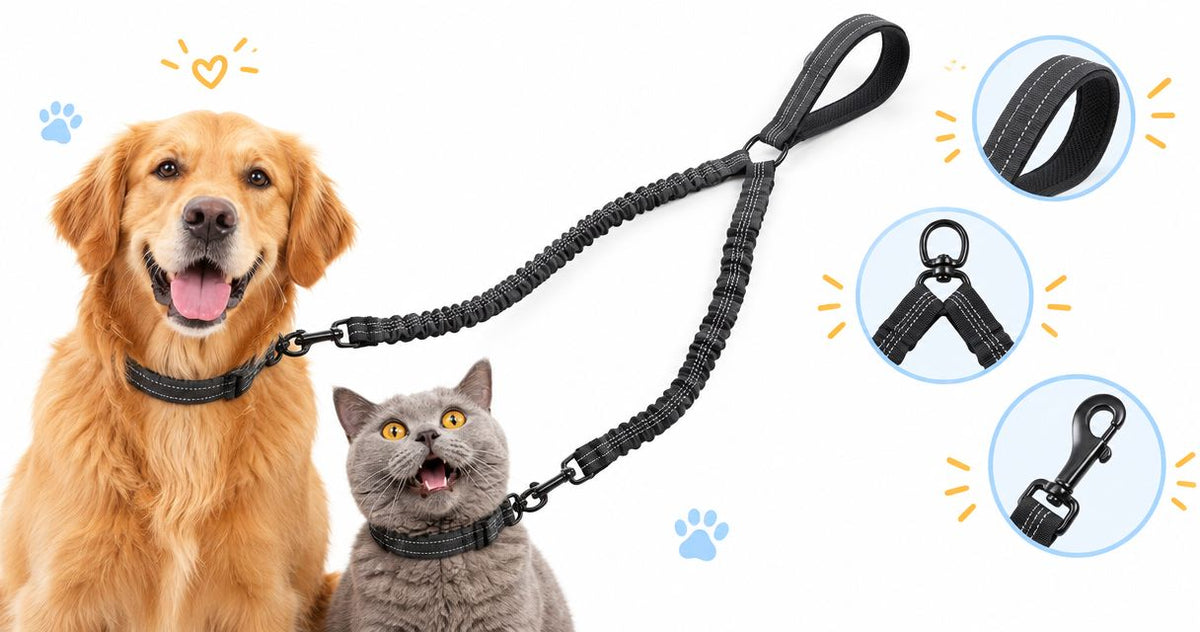 Double dog leash: what to check before buying
