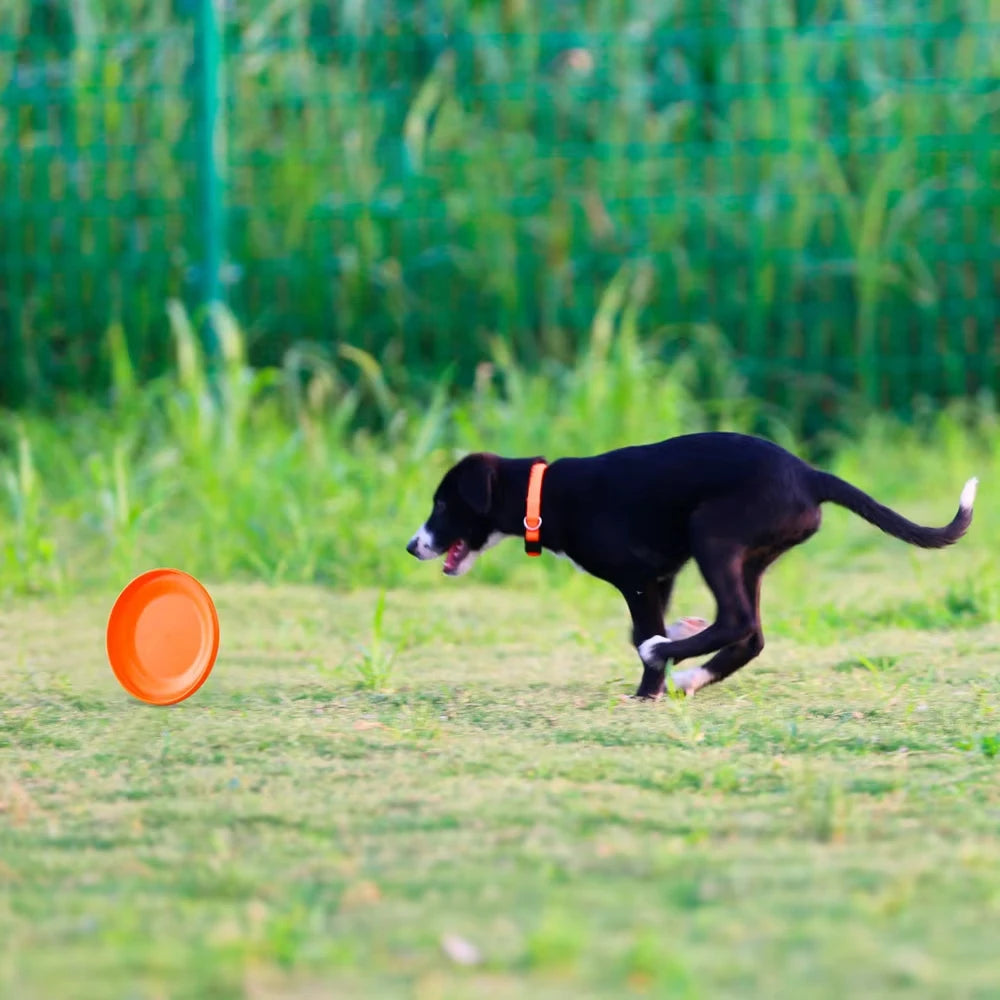 Dog Training Flying Disc – Lightweight, Durable & Waterproof Fetch Toy for Puppies & Adult Dogs