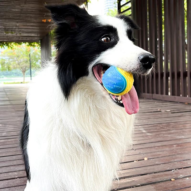 Squeaky Dog Ball Toy – Soft TPR Interactive Toy for Teeth Cleaning & Bite Resistance